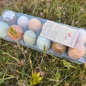 Alternative view of Backyard Rainbow Layers Fertile Eggs